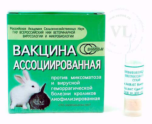прививки кроликов